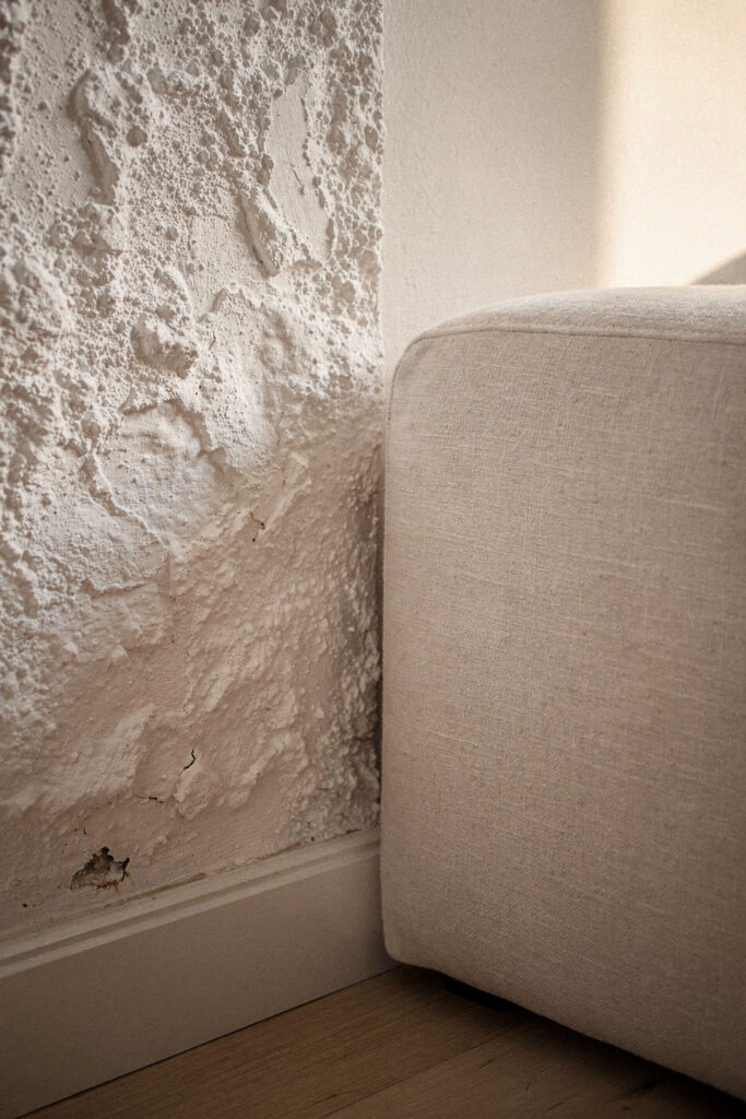 A textured limewash wall with cloudy mottling and faint trowel marks meeting a smooth linen sofa arm and pale oak floor, raked by low warm afternoon light