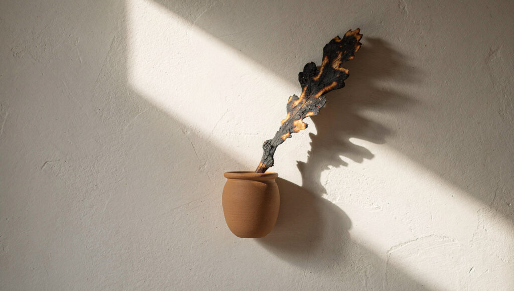 A single charred oak branch leaning off-axis in a small matte clay vessel on a plain warm-white wall, casting one clean diagonal shadow, with deep negative space around it