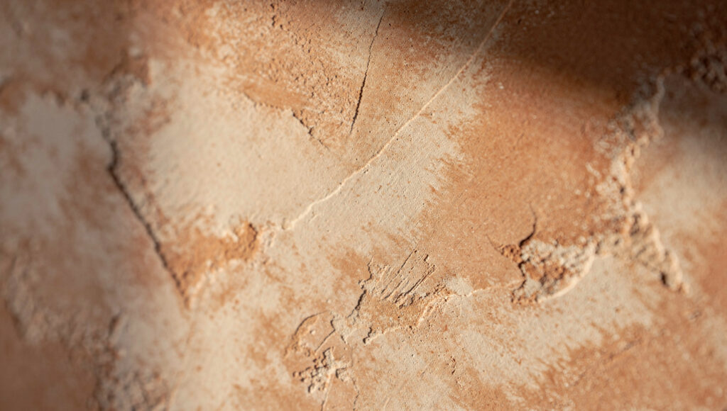 Macro of a limewash wall in a warm clay tone showing soft cloudy mottling and faint trowel marks, low afternoon sun grazing across the surface to reveal three-dimensional depth