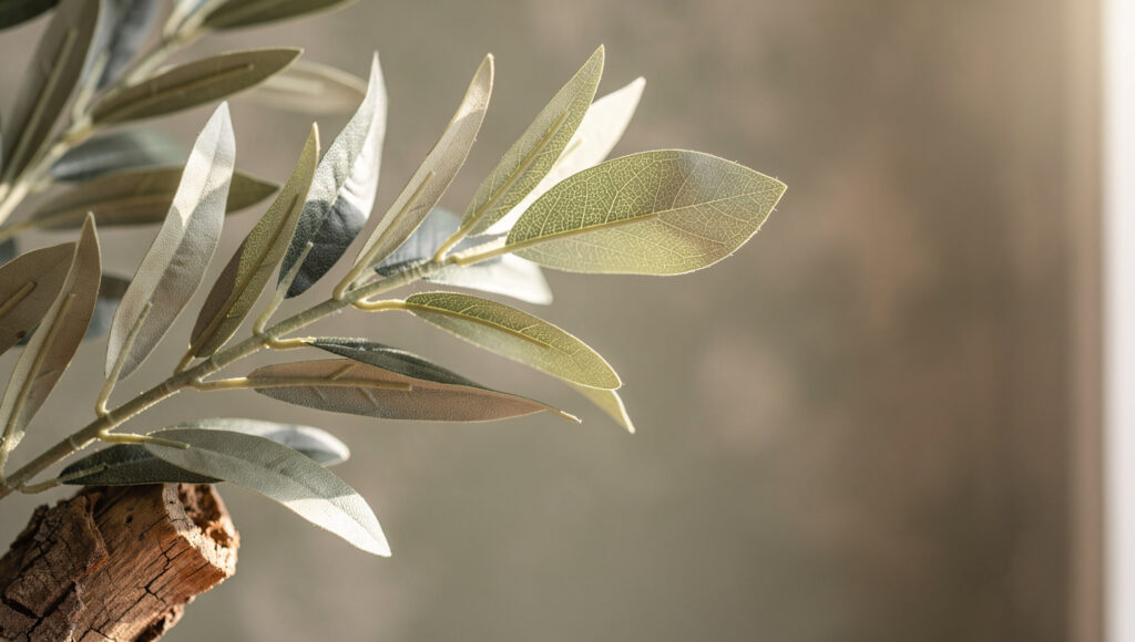 A premium faux olive branch in close-up showing PE leaf quality — natural color variation from pale silver-green to deeper green, individual vein texture on each leaf surface, irregular leaf angles, and one leaf backlit showing translucency, with a real dried wood stem showing genuine bark texture at the branch base