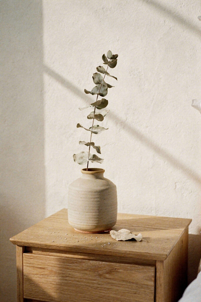 A single dried eucalyptus stem leaning off-axis in a matte stoneware vessel on a bare oak nightstand, casting one diagonal shadow on a plain warm-white wall